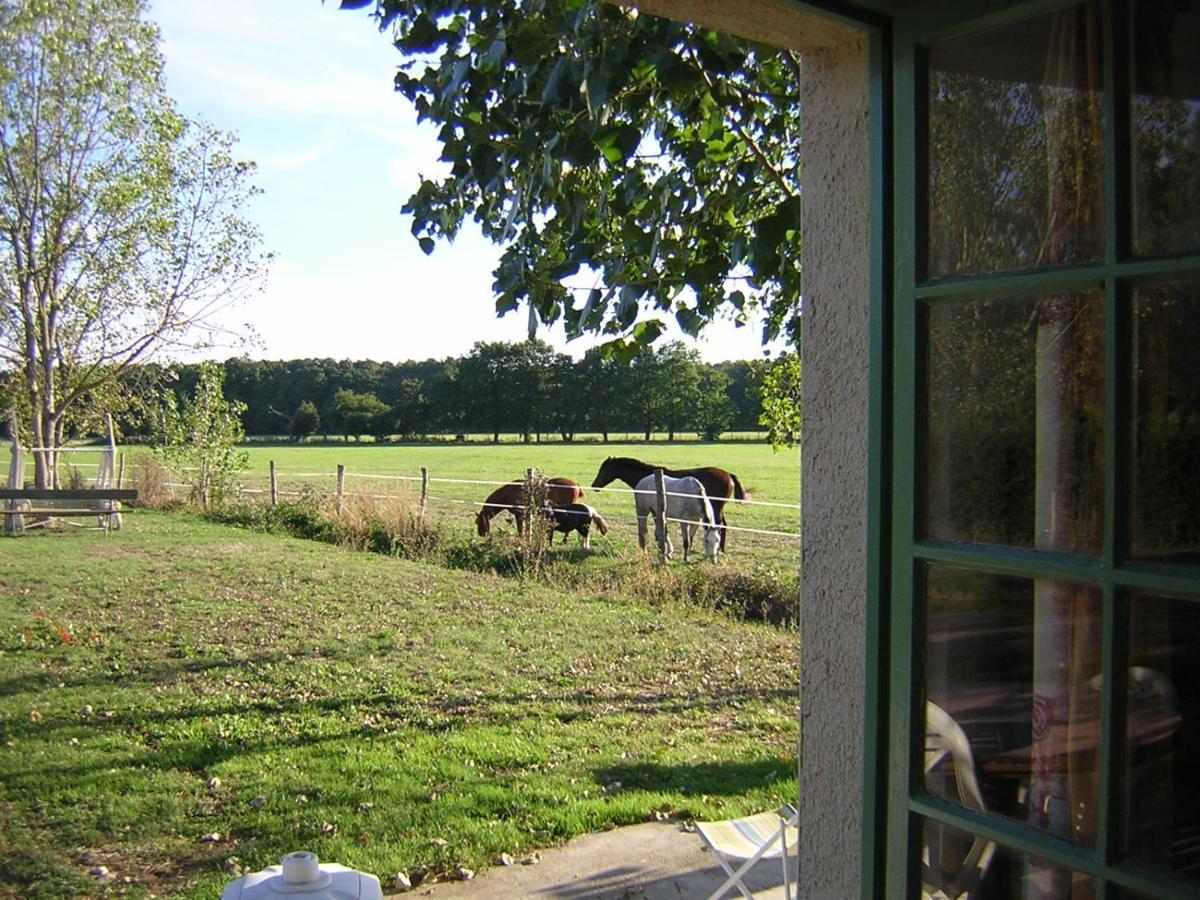 Chambre d'hôte de l'élevage du Lattay Les Hauts-d'Anjou Extérieur photo